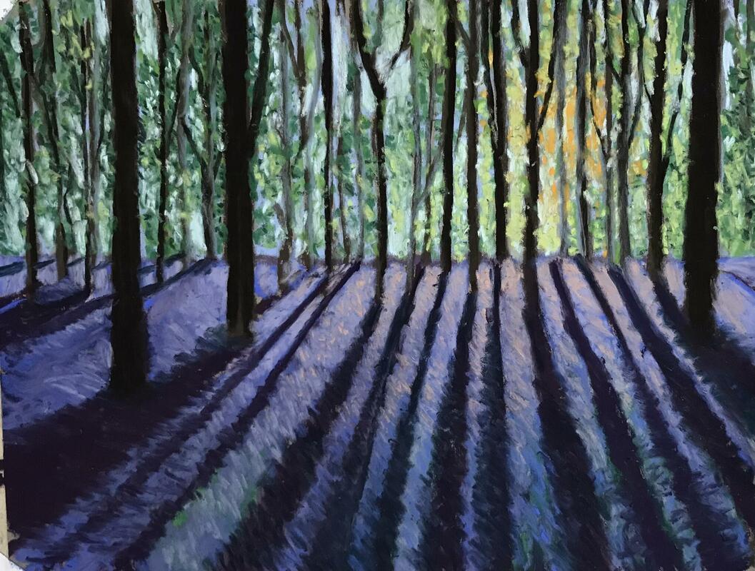 Bluebell woods. Pastel on paper.