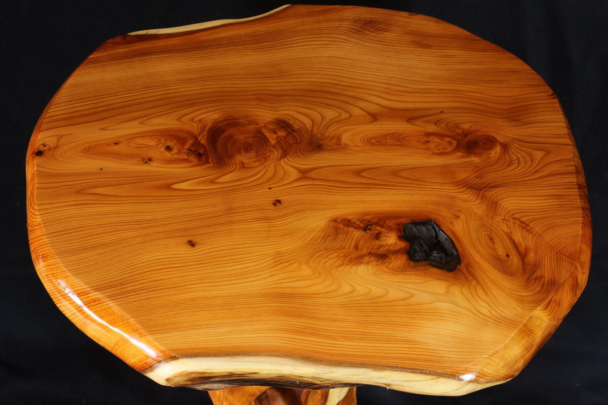 Yew tree-table top illustrating the grain and character of yew wood