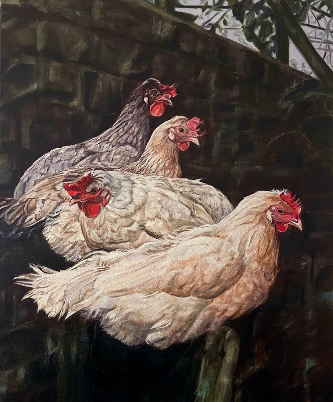Roosting Chickens: An original oil painting of four fluffy hens, roosting peacefully on a fence near an old stone wall. By Oxford artist Karina Tarin