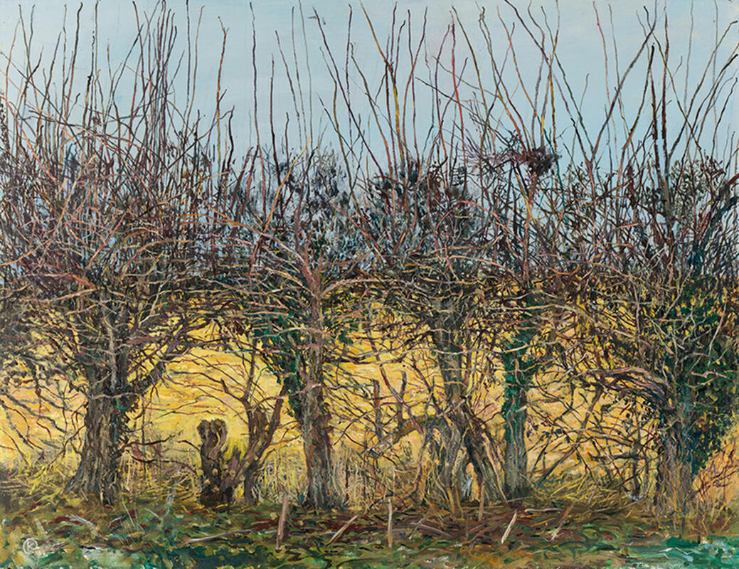 Flailed Hedge, arylic painting on canvas of a flailed field hedgerow in wintertime.,  