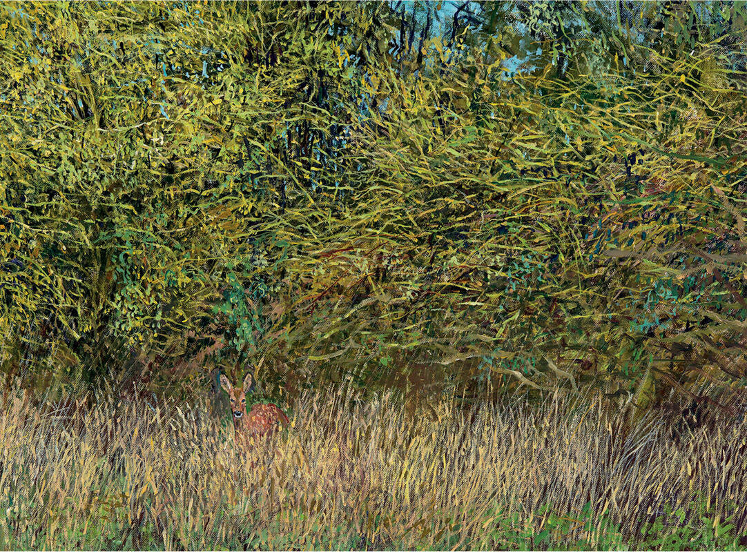 Roe Deer. Painting of roe deer concealed in long grass and and trees.