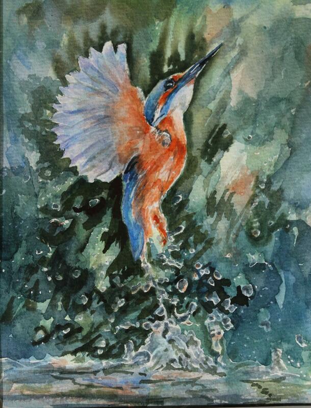 Splash ,Dramatic walercolour of a Kingfisher exiting the water  Mounted size 10x12in .will be framed for Artweeks