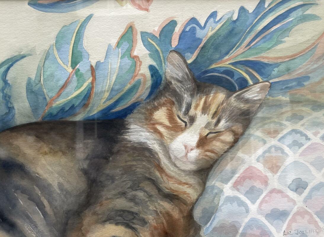 My cat Mitten: watercolour