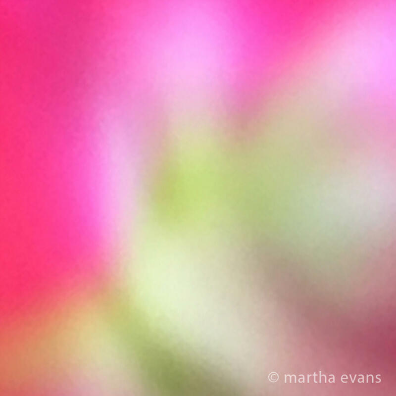 Pelargonium. Colourful abstract floral giclee print. 