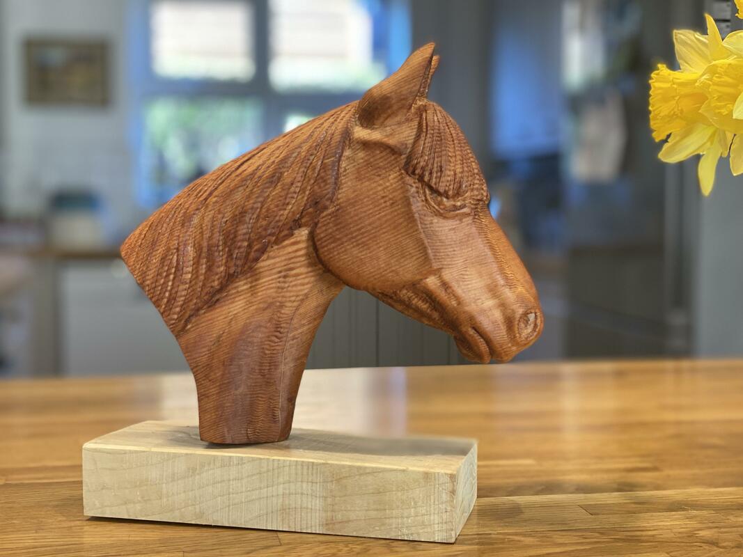 Head of a pony - douglas fir