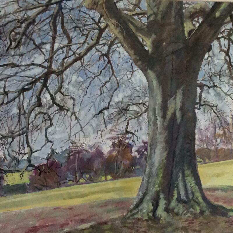 Tree in Blenheim oil on canvas 106x75cm framed £350