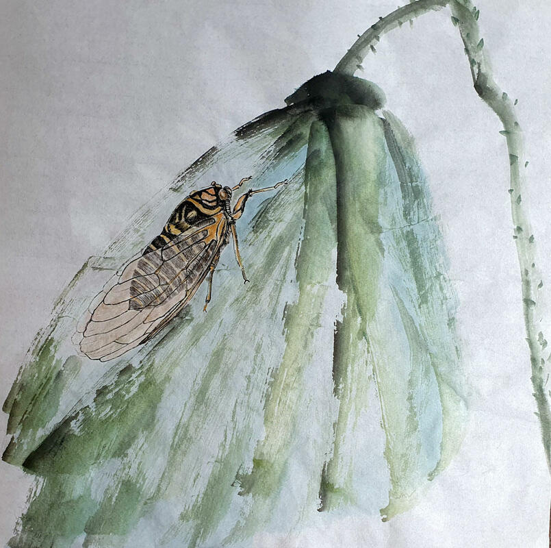 Manchula Foulkes Cicada and Lotus 