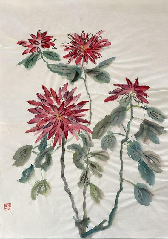 Dorothy Fischer Chrysanthemums 