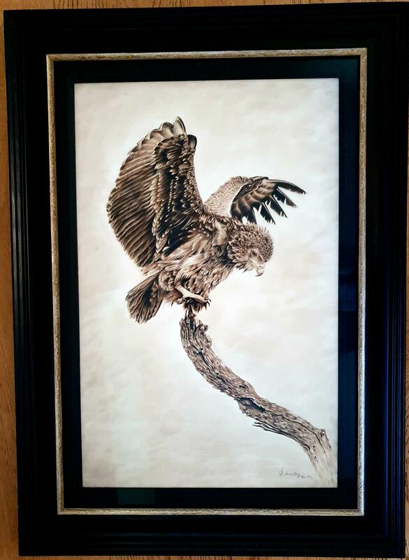 Edgar, African Eagle, framed 