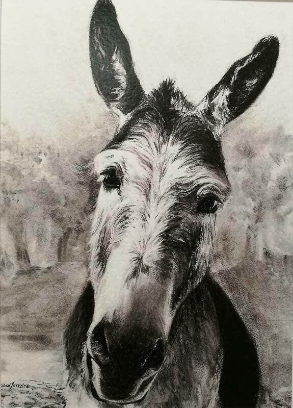 Curious Soul. A Portrait in Charcoal of a Donkey by Rebecca Rason Flor Ferreira
