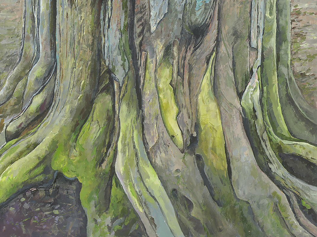Massive roots of a tree opposite the Sorting Office; acrylic paint