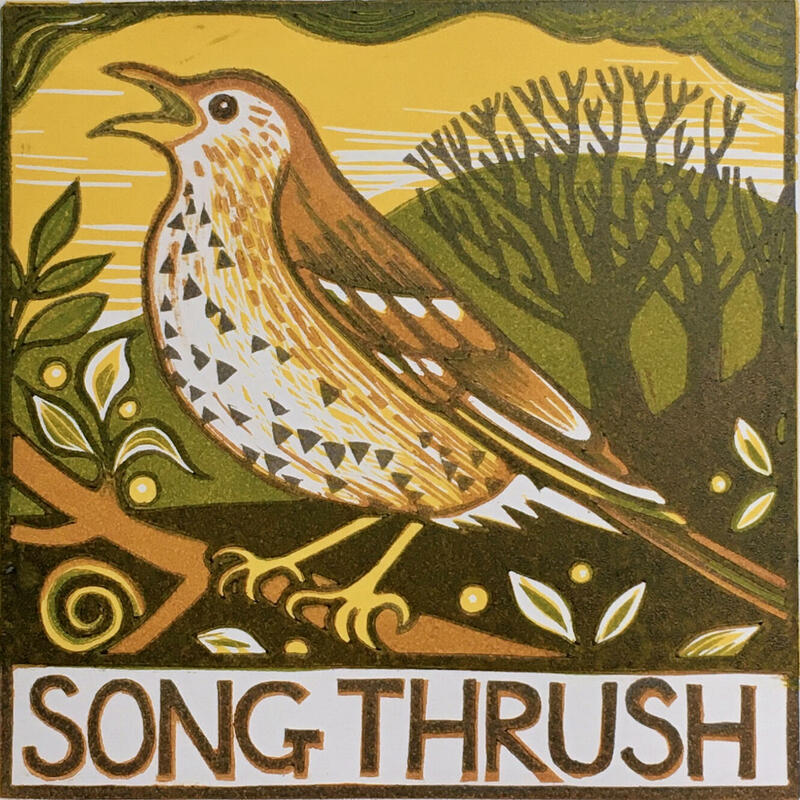 Song Thrush: Linocut