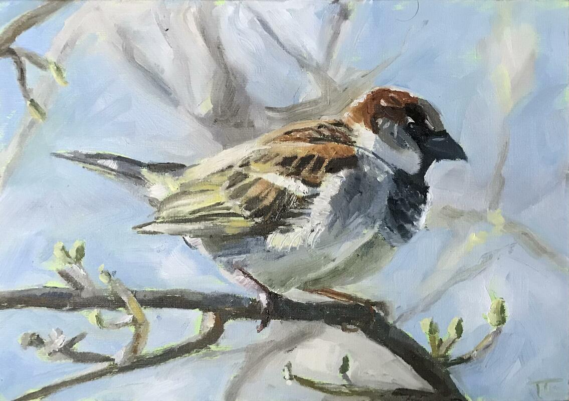 Sky blue sparrow, oil A4 panel