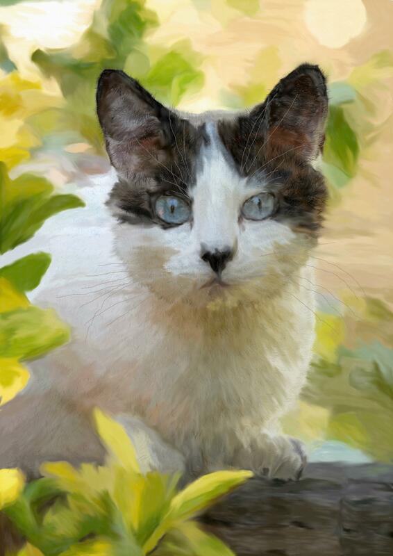 Cat in garden - digital watercolour