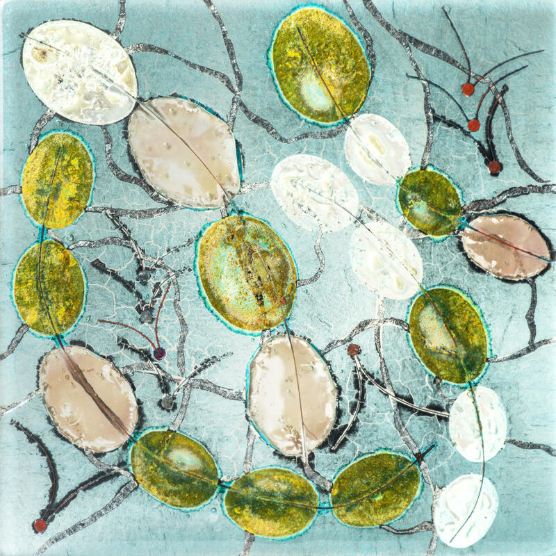 Cyanobacteria, kilnformed glass, 30 x 30 cm 