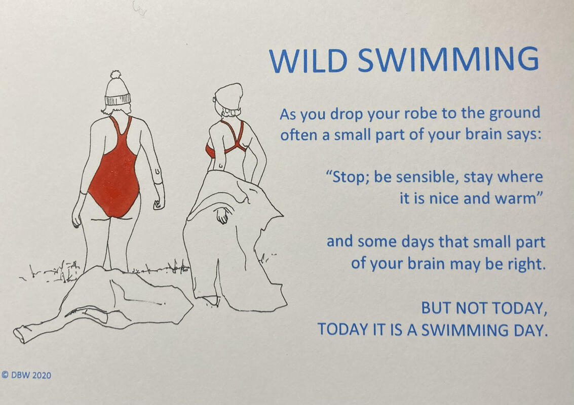 Today is a swimming day Wild swimming cards and prints 