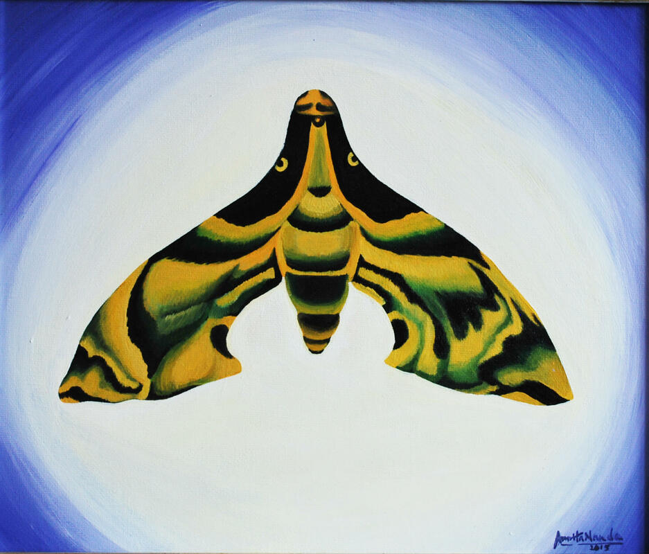 Moth - Acrylic on canvas Framed  29cm x 33cm, £120.  Mystical beings of the night. 