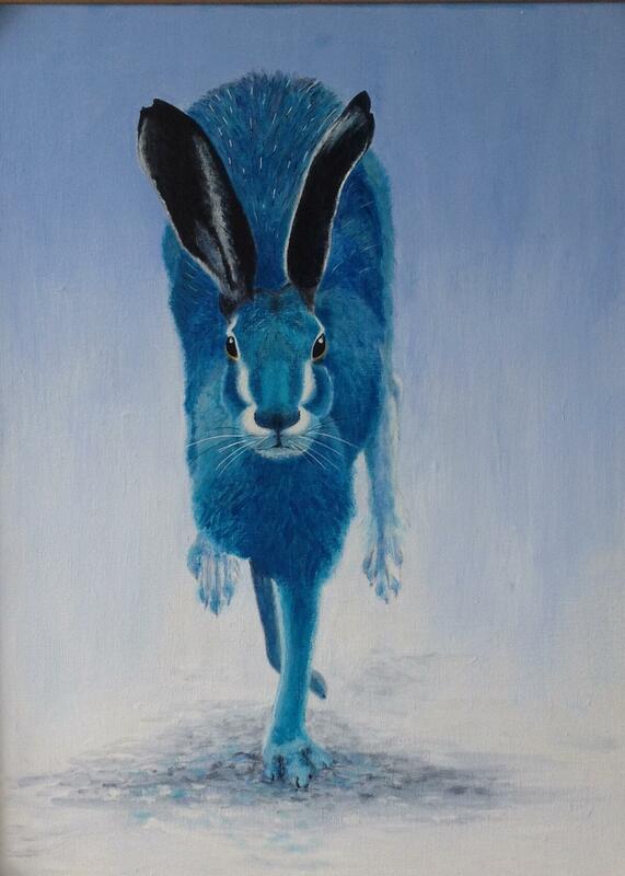 Blue Hare