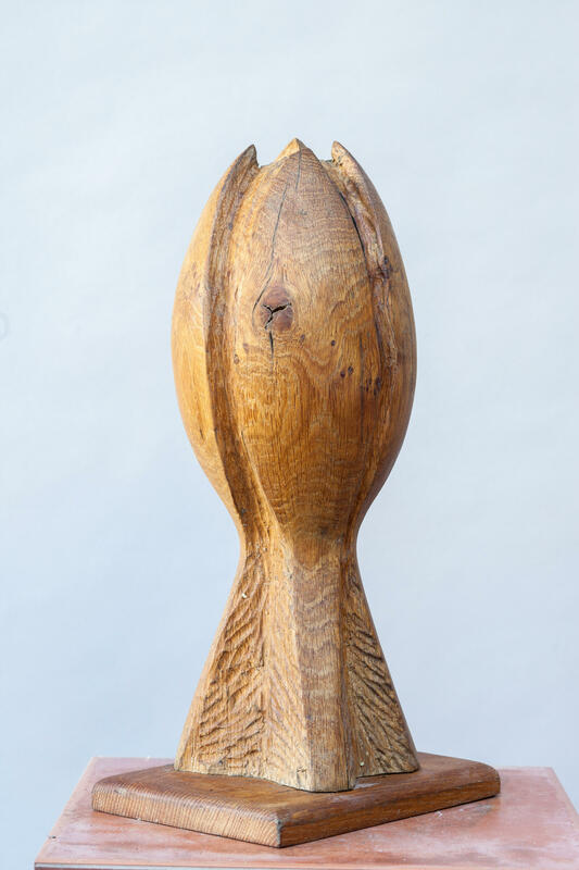 Bud form, oak, 40x60cm