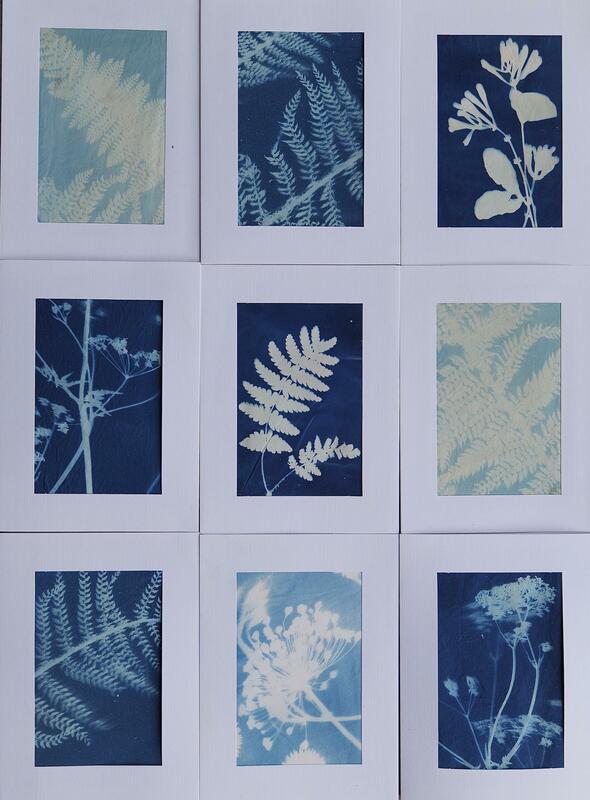 Individual cards  15cm x 20cm  cyanotype onto fabric, mounted in card  -  £8 each