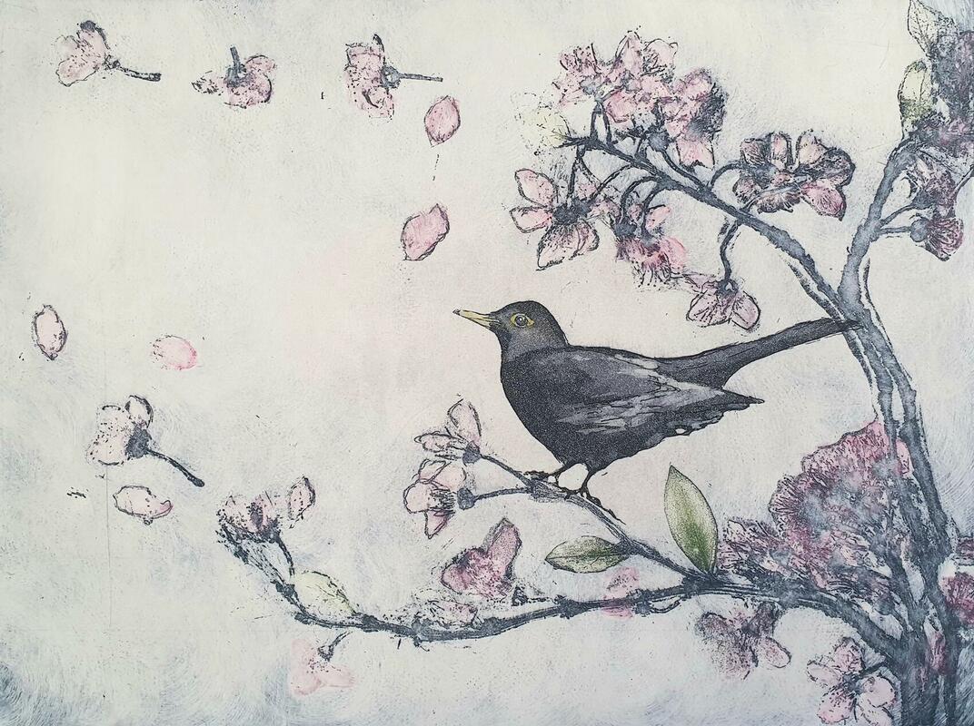 Blackbird and Blossom