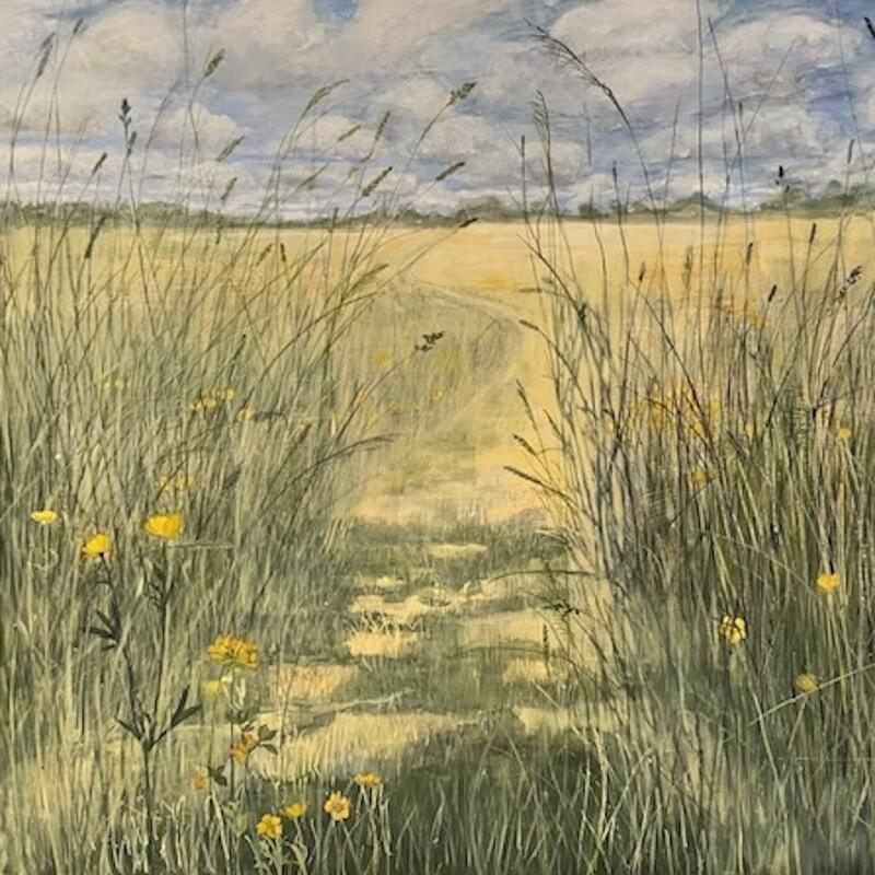 early summer meadow path buttercups