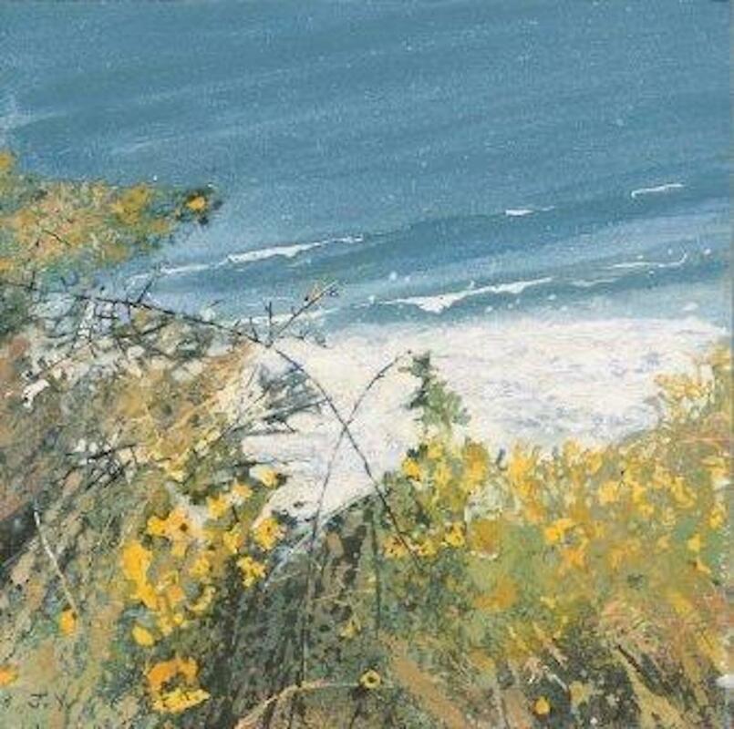 A sheltered spot, Cornwall Gorse and sea
