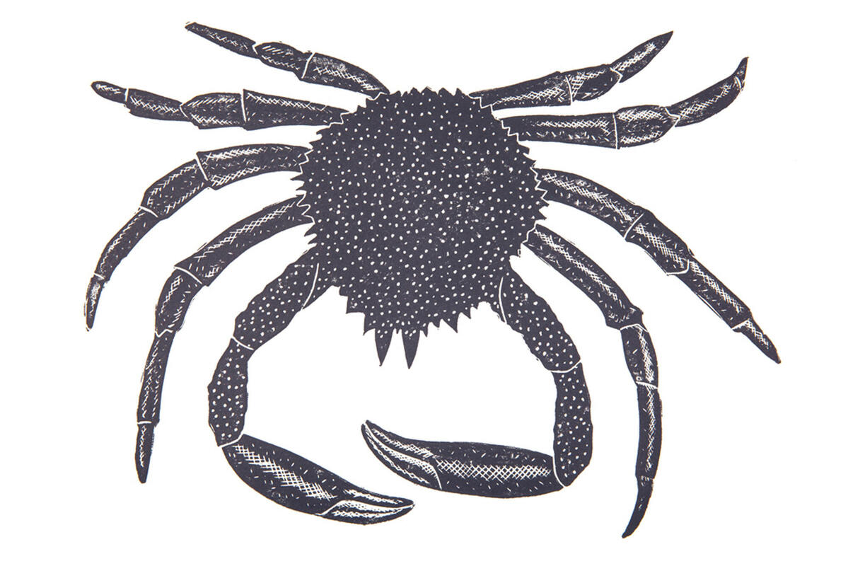 Lino Print of Spider Crab