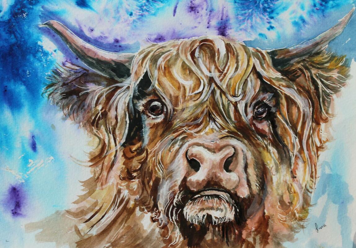 Moooo..colourful watercolour of a highland cow 