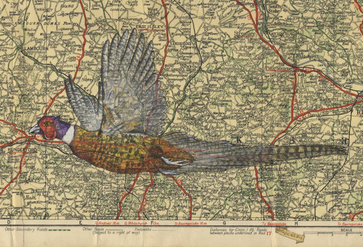Home Counties Cock. Cock Pheasant flying over a vintage map of the Home Counties. Pen and Watercolour