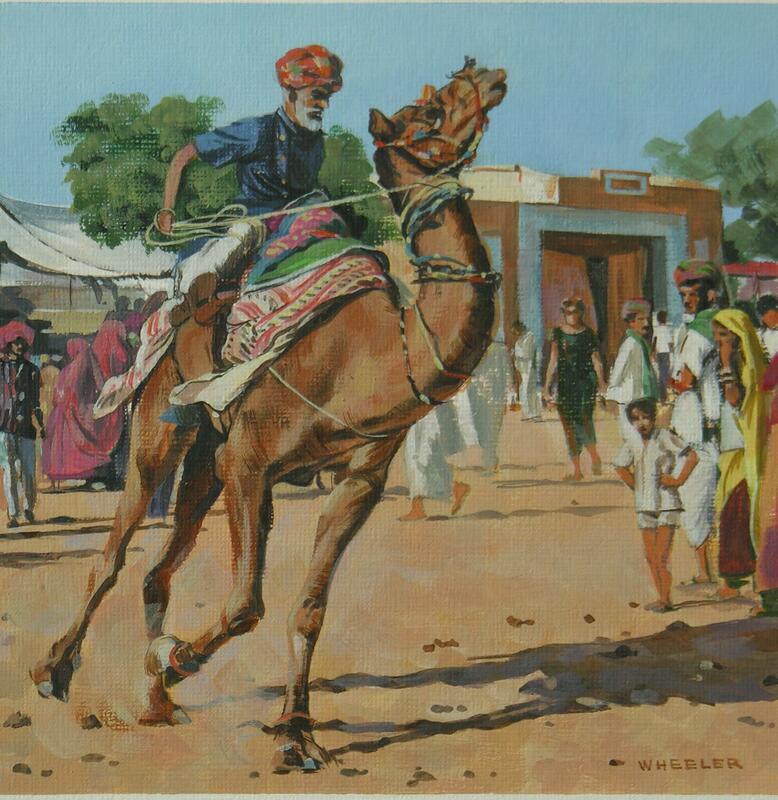 A Camel Race, Pushkar, India