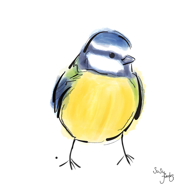 Blue Tit by Susy Fuentes