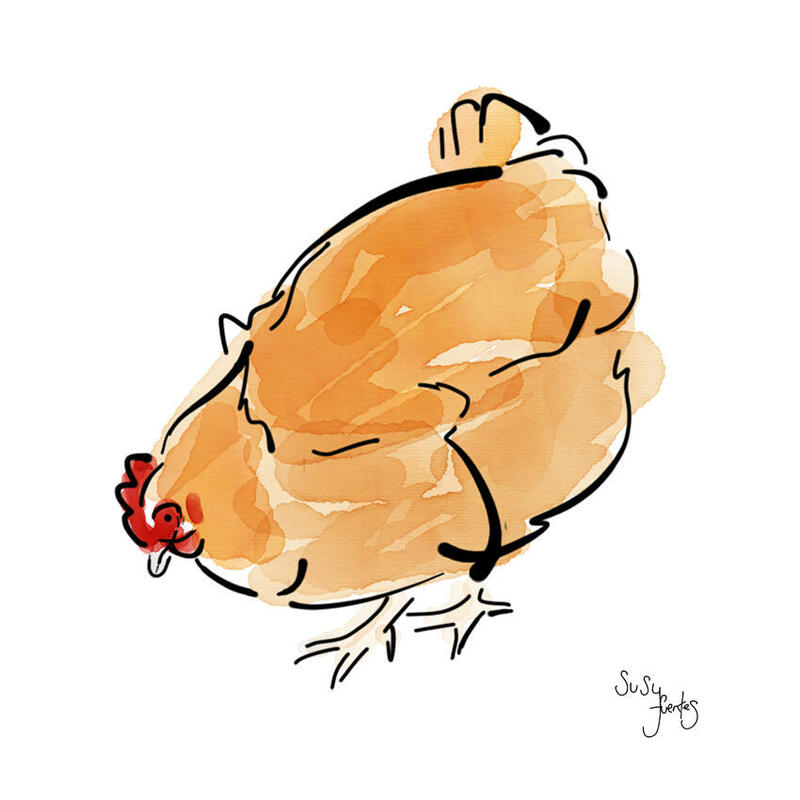Cheeky Chicken by Susy Fuentes