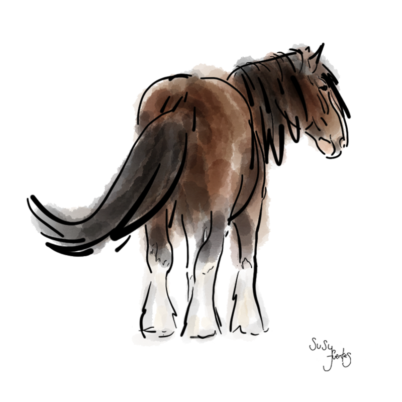 Soulful Shire Horse by Susy Fuentes