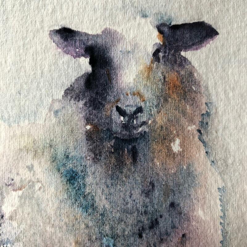Watercolour, sheep, painting