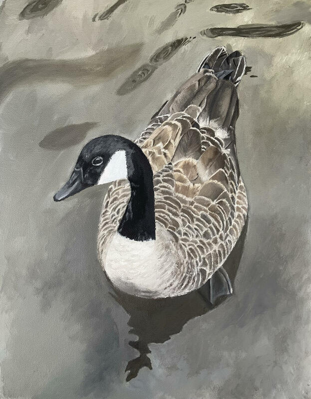 Canada Goose. Oil on canvas, 18" x 14", Not for sale