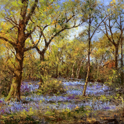 Bluebell Copse by Jill Smith