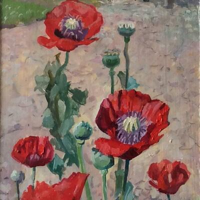 Poppies (detail) 52x20cm oil £150