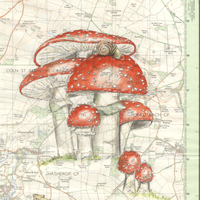 A Cotswolds Fairy-Snail, Pen and ink, and Watercolour on a vintage map of Gloucestershire