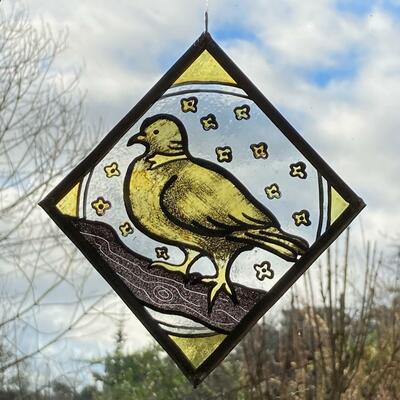 Wood pigeon, stained glass quarry, dim, £125
