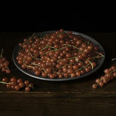 Redcurrants by Benedict Ramos. Limited edition pigment ink photographic print.