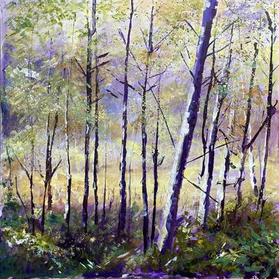 Silver birch wood. Playing with colour and light