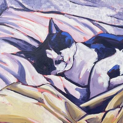 Painting of a black and white cat asleep