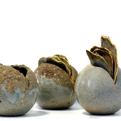 Seed Pods - David Clifton