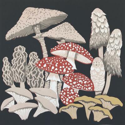 Mushroom medley, linocut by Gerry Coles