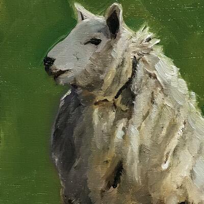 Fluffy sheep, 4x6” oil on wood panel