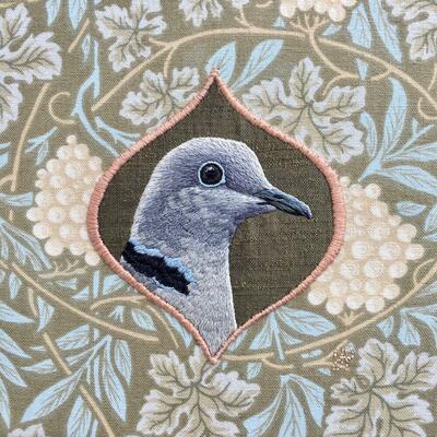 Collared Dove - hand embroidery