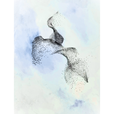 Acrylic painting of a starling murmuration set to a background of blue and cloudy sky. 
