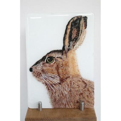 Hare in Profile in Oak Stand