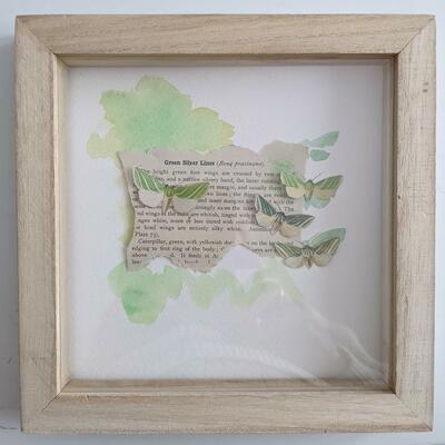 Four Green Silver Lines on old text moth art in box frame by Barbara Creed Artweeks